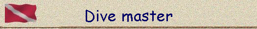 Dive master