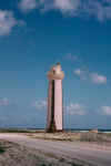 LightTower.jpg (31967 bytes)